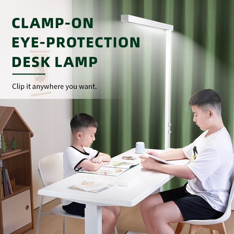 Clamp-on Eye-Protection Desk Lamp